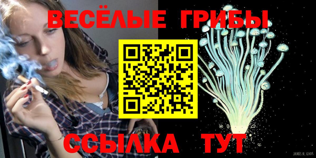 Зеленокумск  Псилоцибиновые грибы MAGIC MUSHROOMS  цены   Вход с VPN 